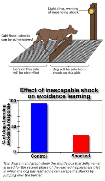 learned helplessness graph cp